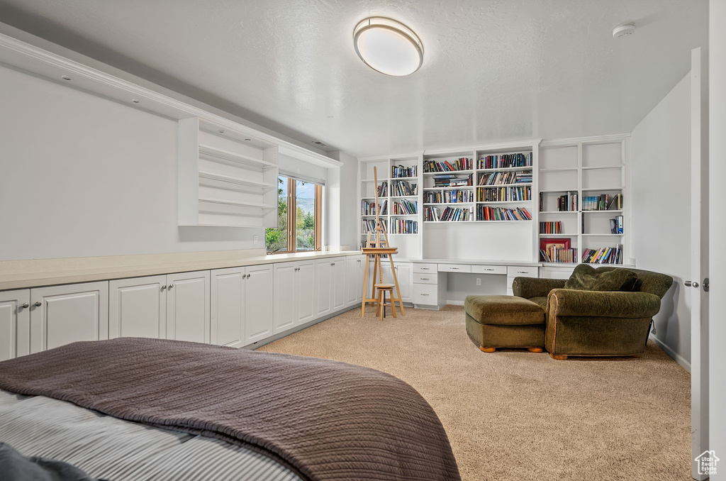 Bedroom featuring light colored carpet