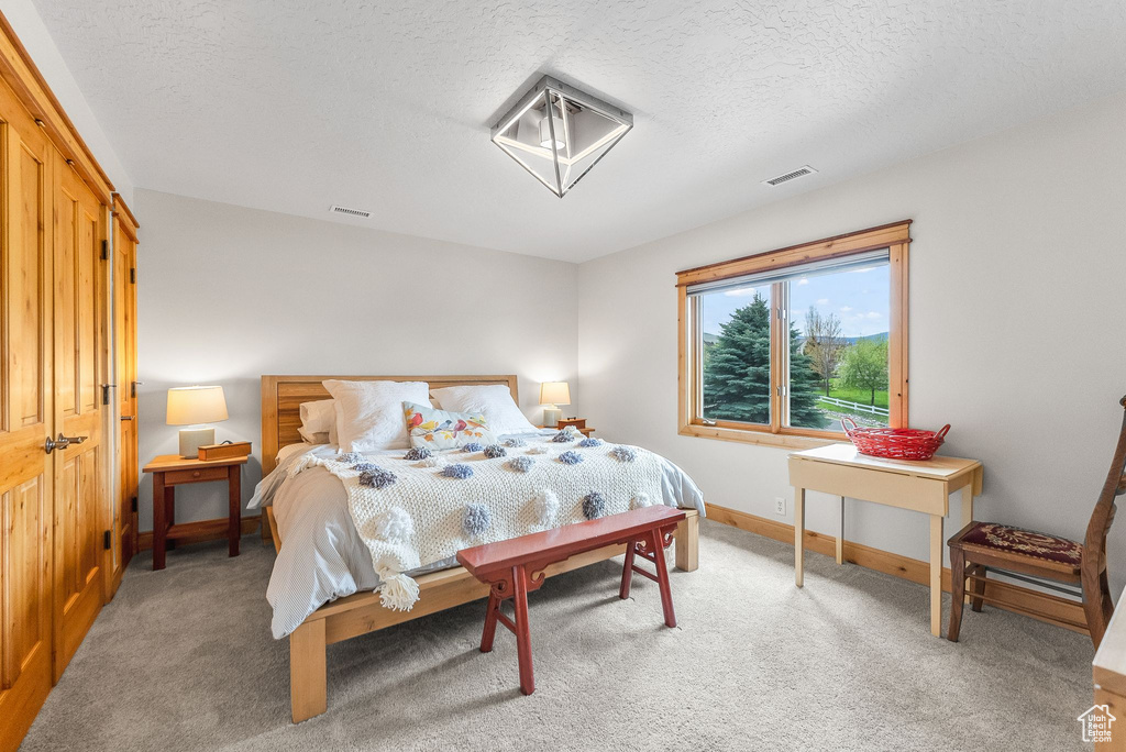 Bedroom featuring light carpet, a textured ceiling, and a closet