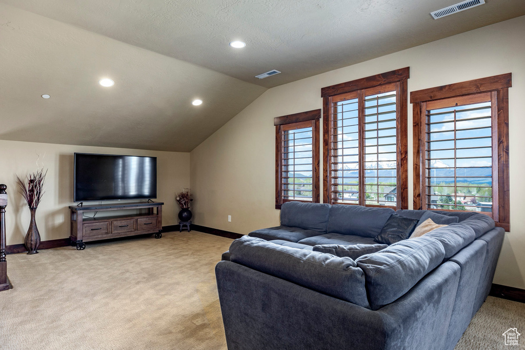 Carpeted living room featuring a textured ceiling and lofted ceiling