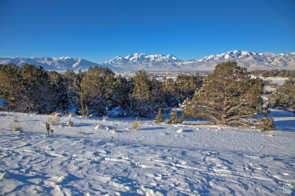 View of property view of mountains