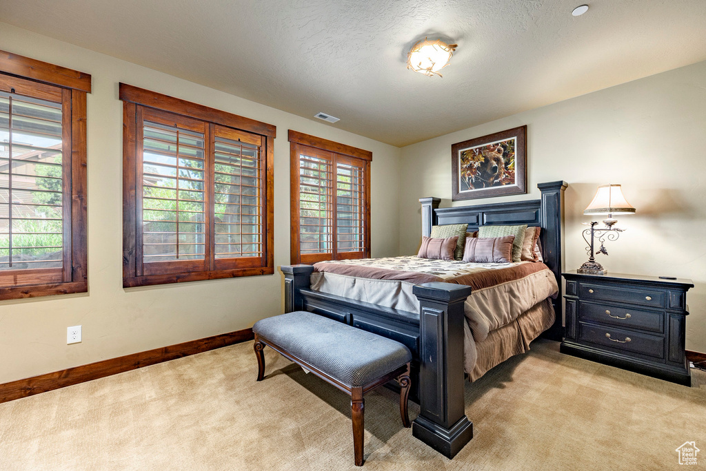 Bedroom with light carpet and multiple windows