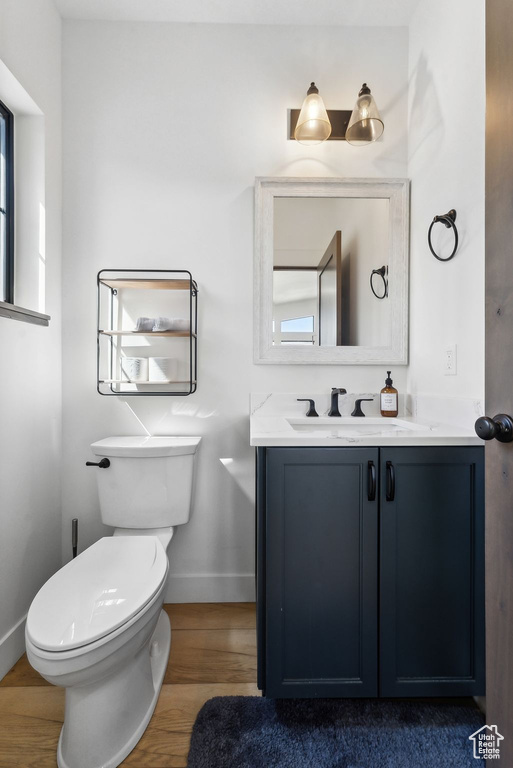 Bathroom featuring vanity, toilet, and hardwood / wood-style floors