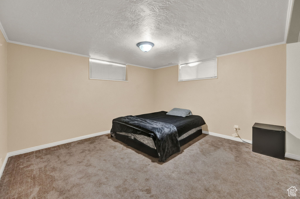 Carpeted bedroom with ornamental molding and a textured ceiling