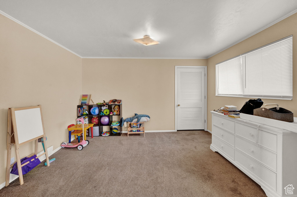 Playroom with carpet and ornamental molding