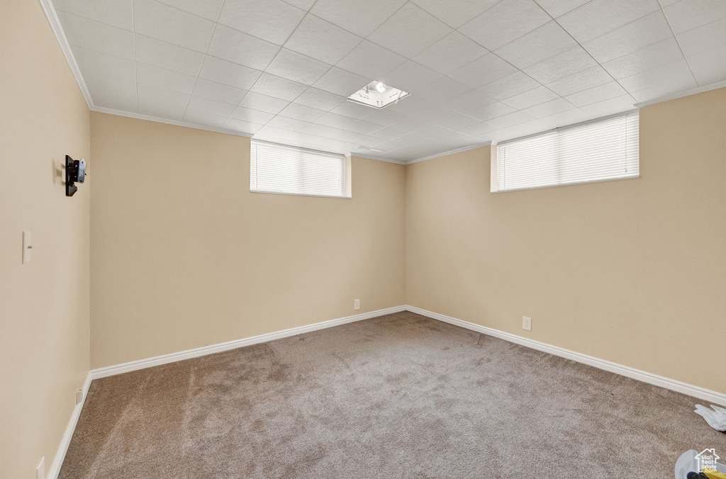 Basement featuring ornamental molding and carpet