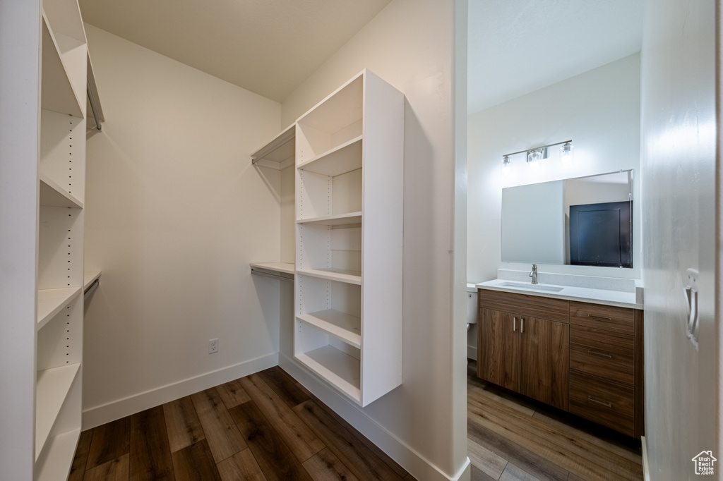 Walk in closet featuring sink and dark hardwood / wood-style flooring