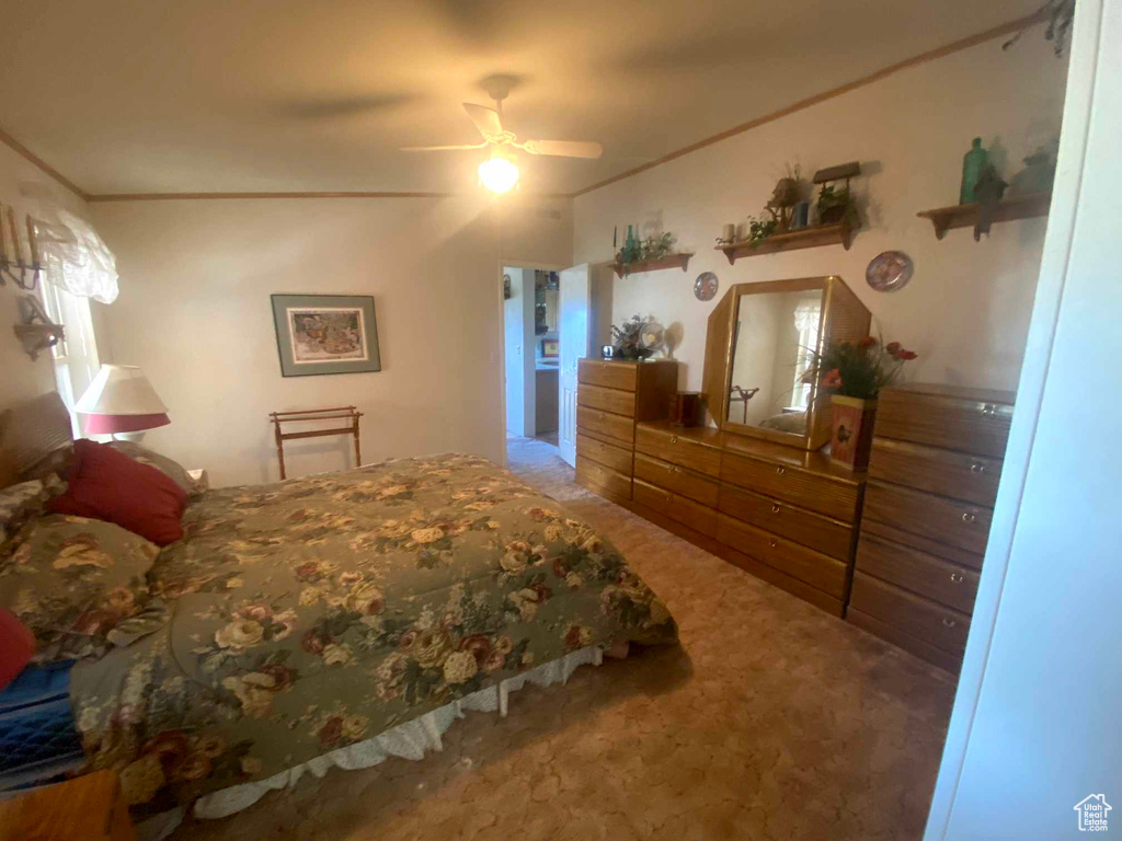 Carpeted bedroom with ceiling fan