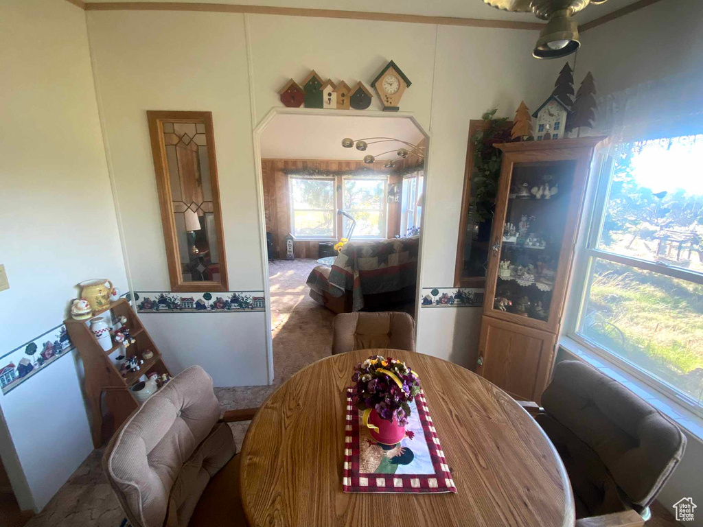 Dining area with carpet floors