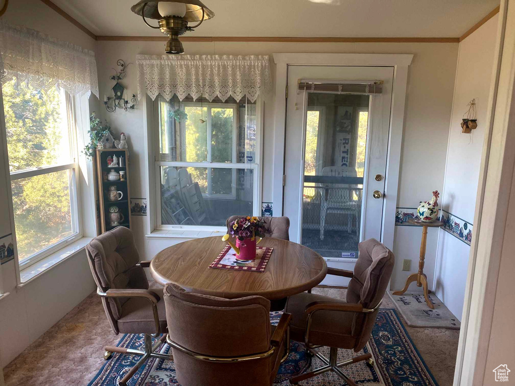 Dining space with ornamental molding and carpet flooring