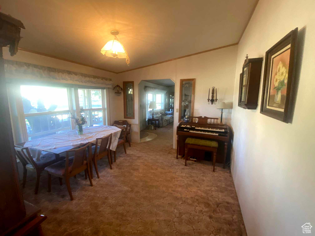 Dining room with carpet