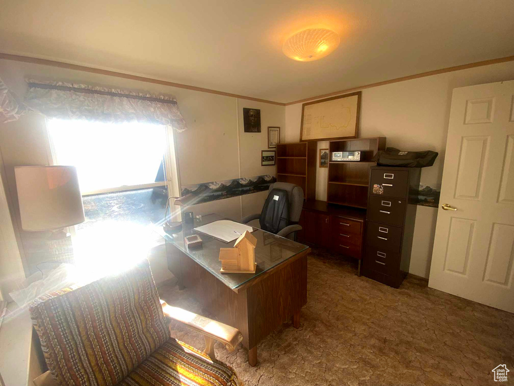 Carpeted office featuring crown molding