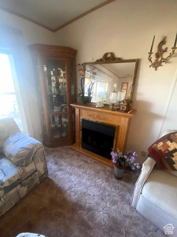 Living room featuring carpet and crown molding