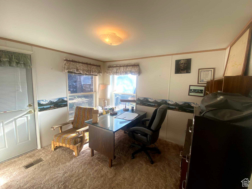 Office area featuring carpet and ornamental molding