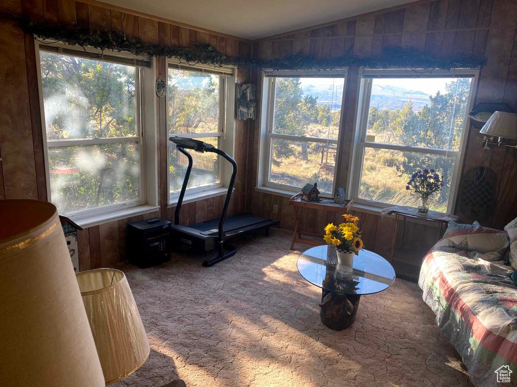 Workout room featuring plenty of natural light, wooden walls, carpet floors, and vaulted ceiling