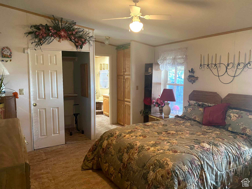 Carpeted bedroom featuring ceiling fan, ensuite bathroom, and ornamental molding