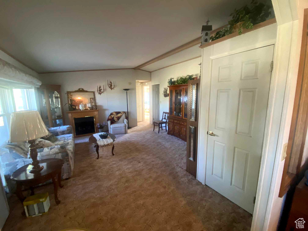 Living room featuring vaulted ceiling and carpet