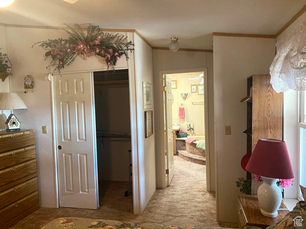 Interior space with crown molding and carpet