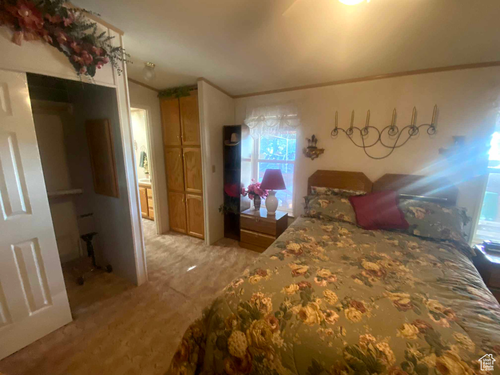 Bedroom featuring ornamental molding