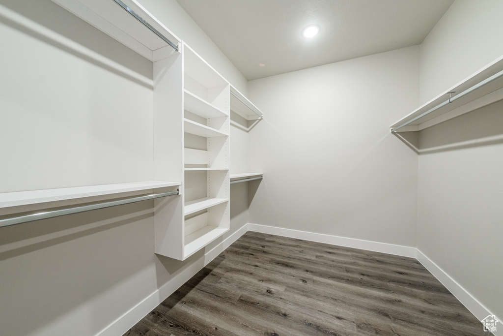 Walk in closet with dark wood-type flooring