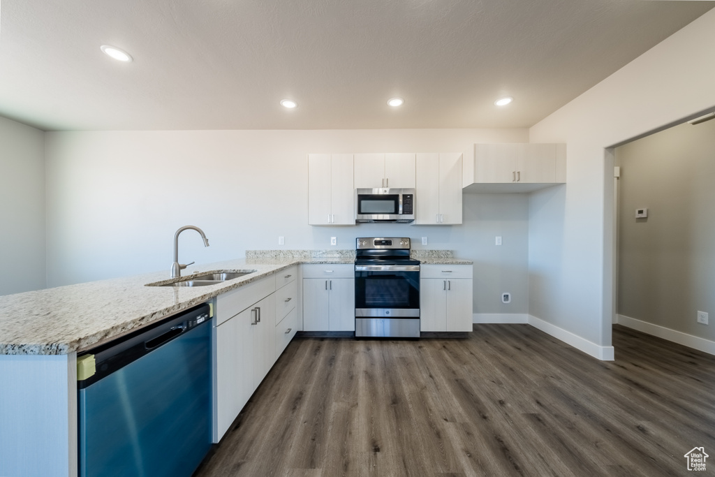 Kitchen with stainless steel appliances, dark hardwood / wood-style floors, sink, and white cabinetry