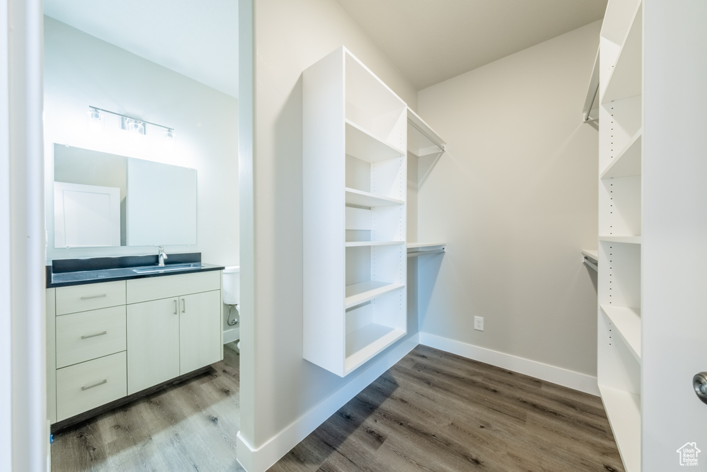 Walk in closet with hardwood / wood-style floors and sink