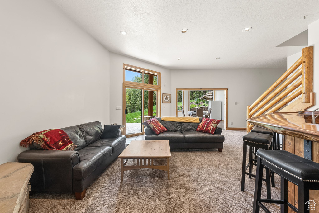 Living room with carpet