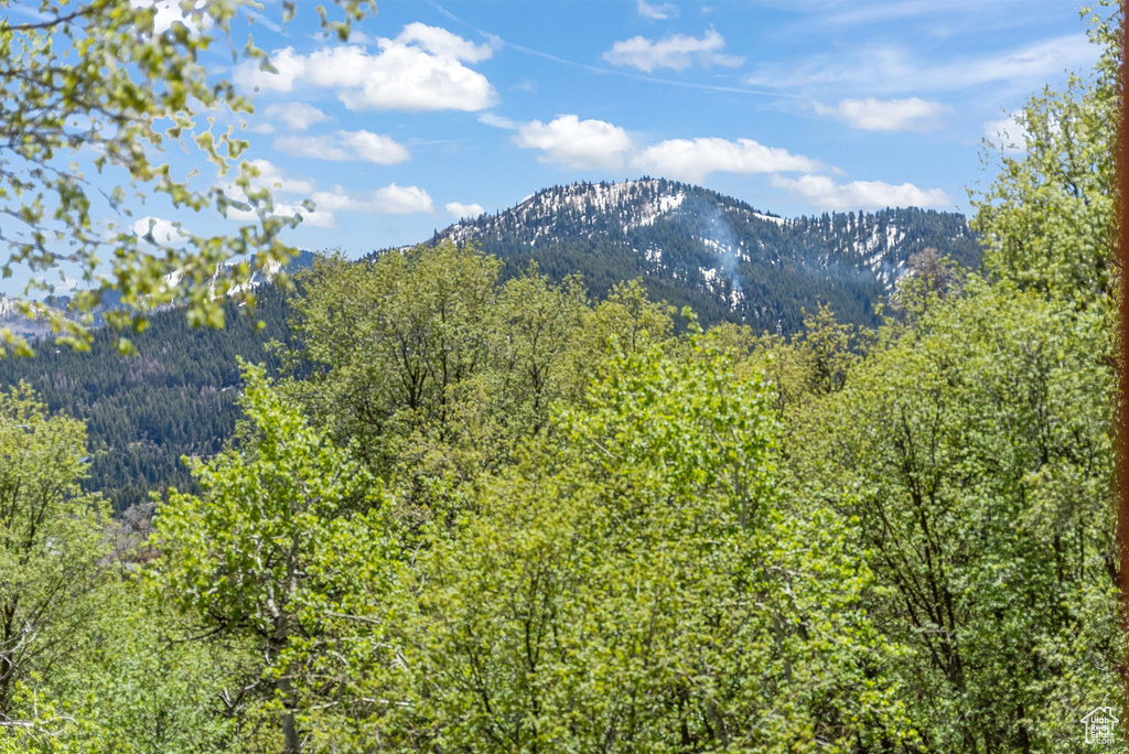 View of property view of mountains