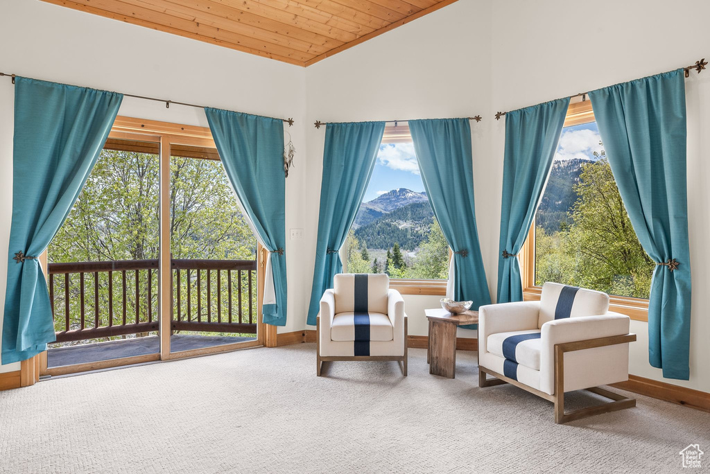 Living area featuring carpet flooring, wooden ceiling, and plenty of natural light