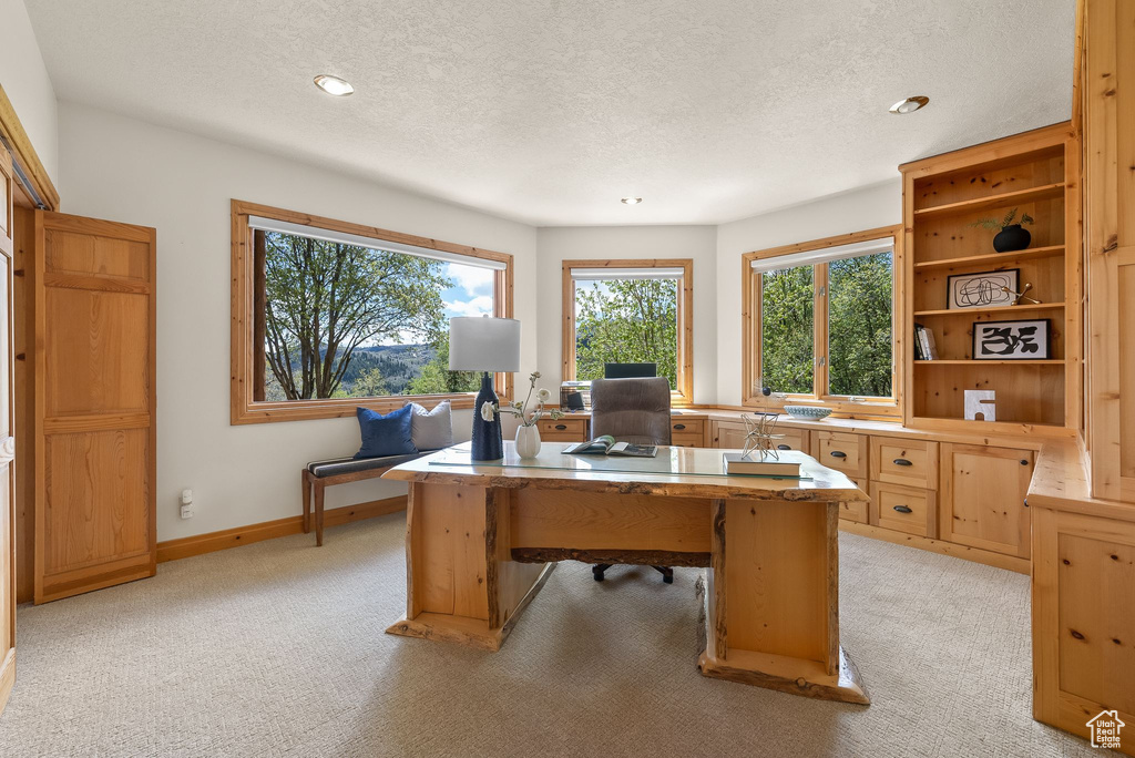 Carpeted home office featuring a textured ceiling