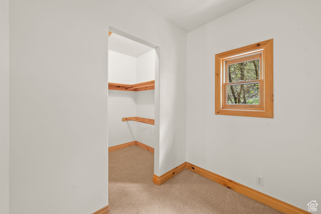 Unfurnished bedroom featuring carpet floors