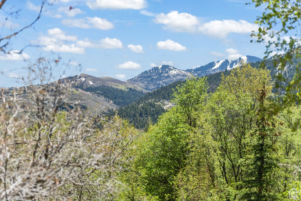 View of mountain feature