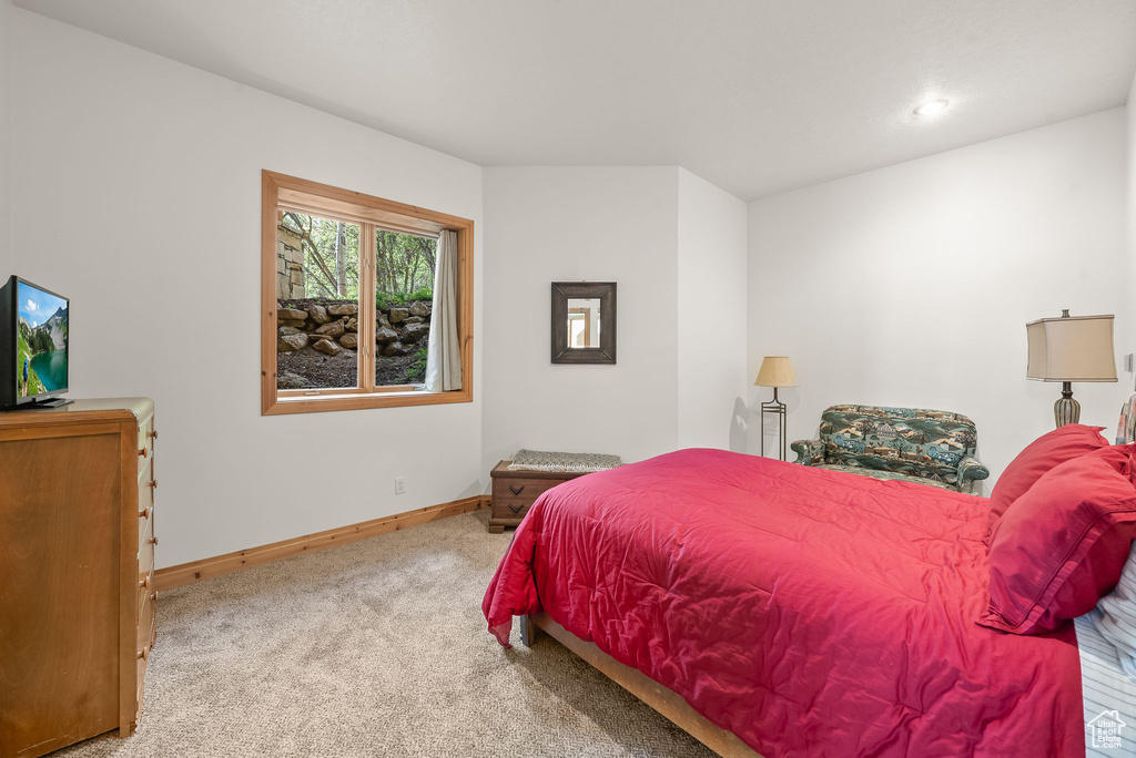 Bedroom featuring carpet