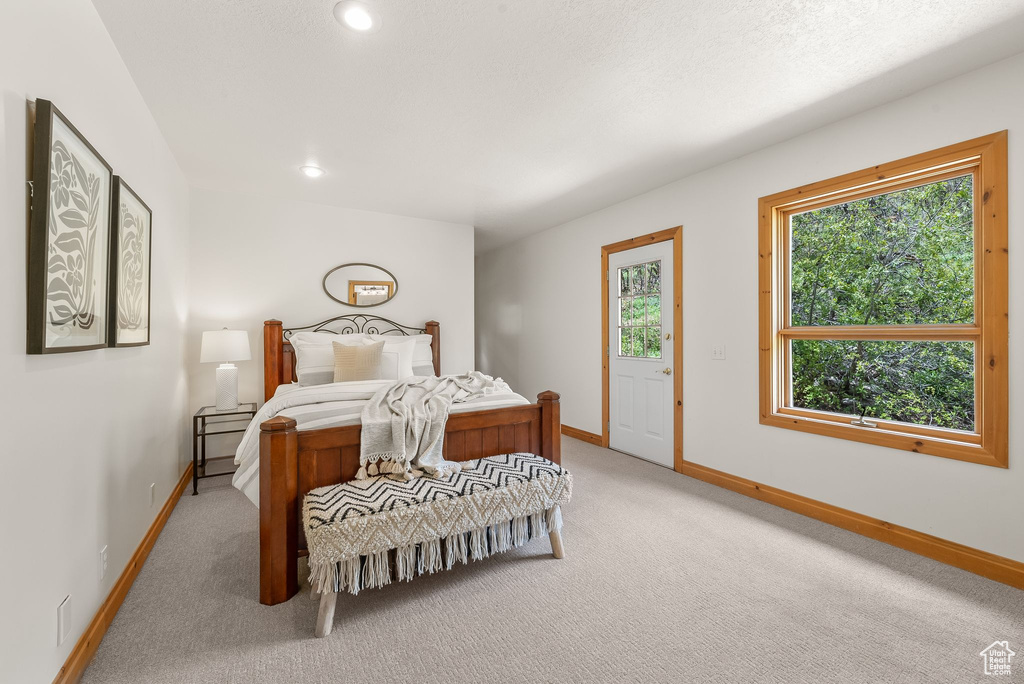 Bedroom with carpet flooring