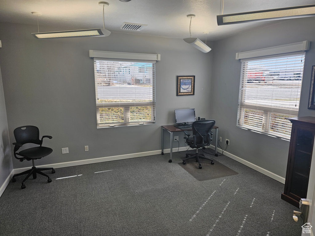 Office space featuring carpet floors