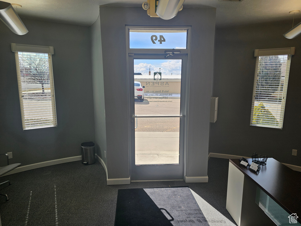 Doorway to outside with dark colored carpet and a healthy amount of sunlight