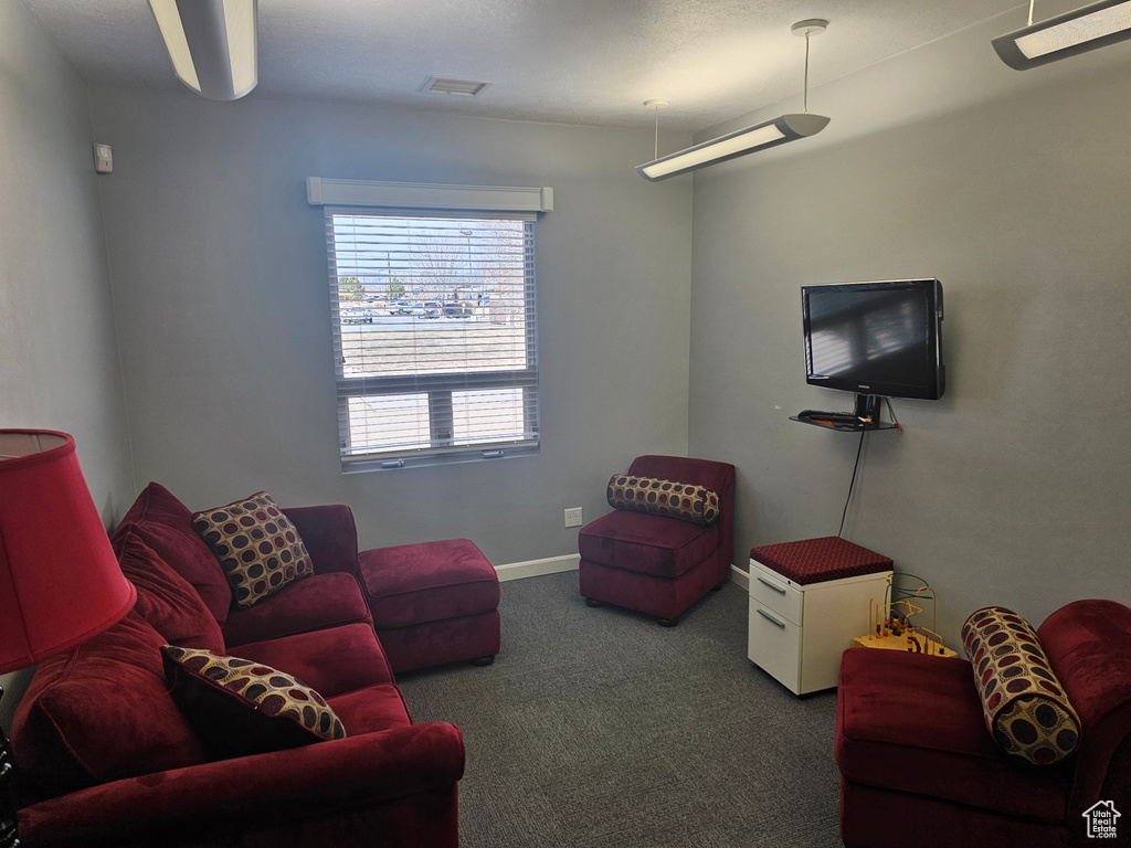 Living room featuring dark colored carpet