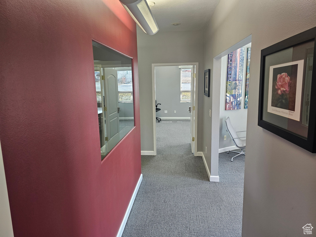 Corridor featuring carpet flooring