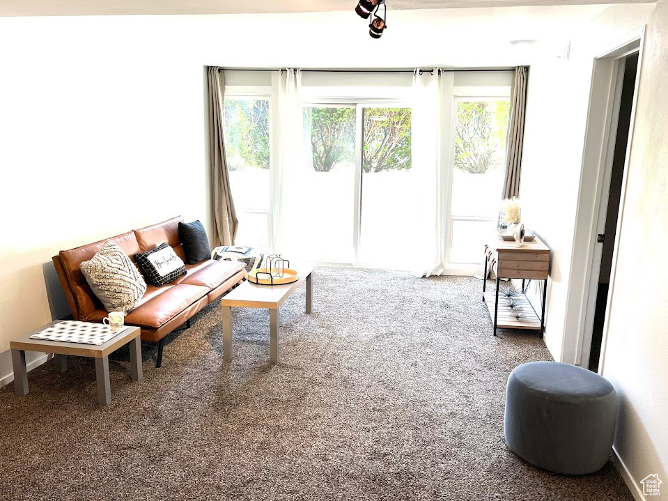 Living room with carpet floors