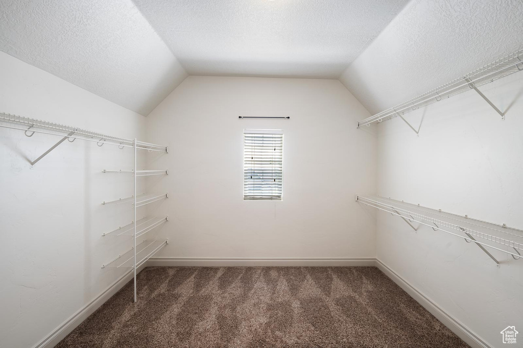 Walk in closet featuring carpet flooring and lofted ceiling