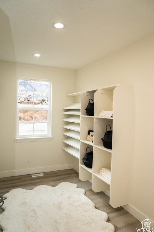 Spacious closet with hardwood / wood-style flooring