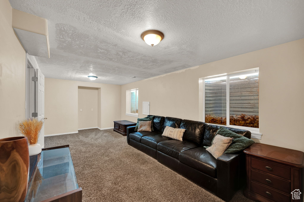 Living room featuring a textured ceiling and carpet flooring