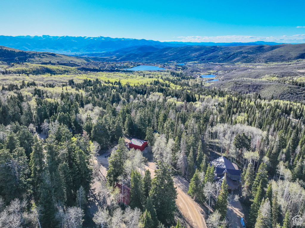 Drone / aerial view featuring a mountain view