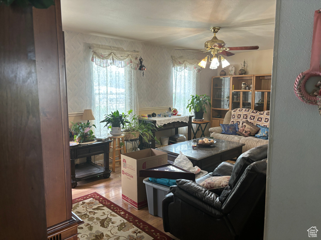 Living room with ceiling fan and light wood-type flooring