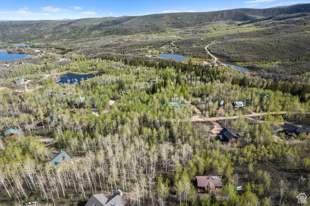 Drone / aerial view featuring a water and mountain view