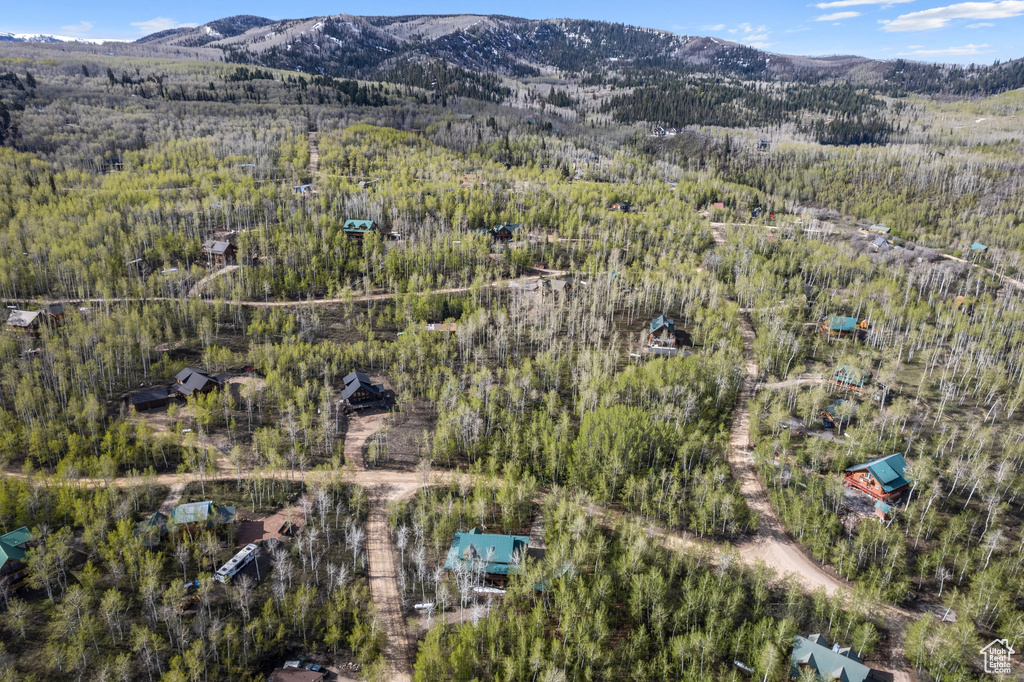 Birds eye view of property with a mountain view