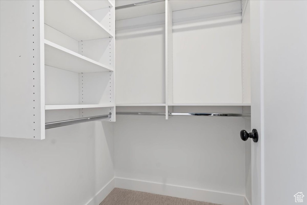 Spacious closet with carpet flooring