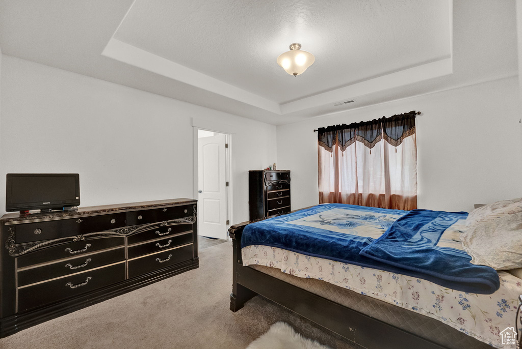 Bedroom with carpet floors and a raised ceiling