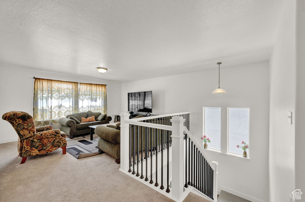 Living room with a wealth of natural light, carpet floors, and a textured ceiling