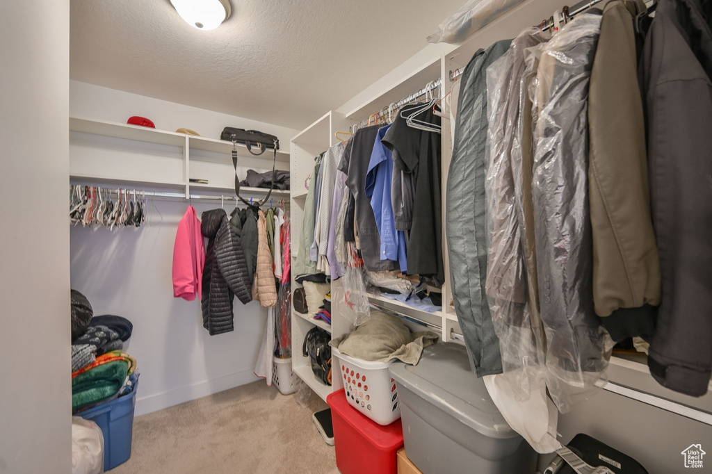 Spacious closet with carpet floors