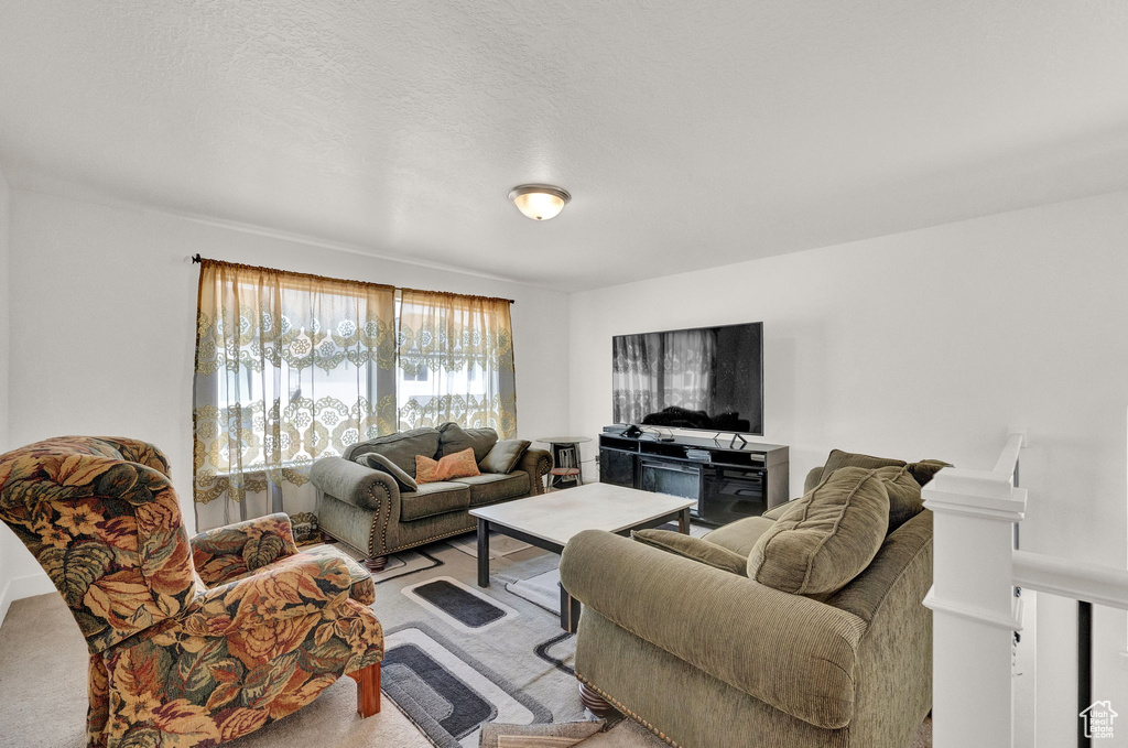 Carpeted living room featuring a textured ceiling